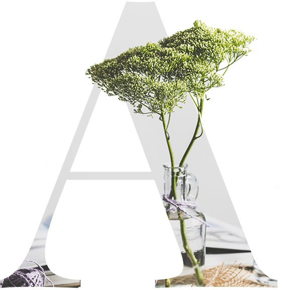 single-image-03 single-image-03